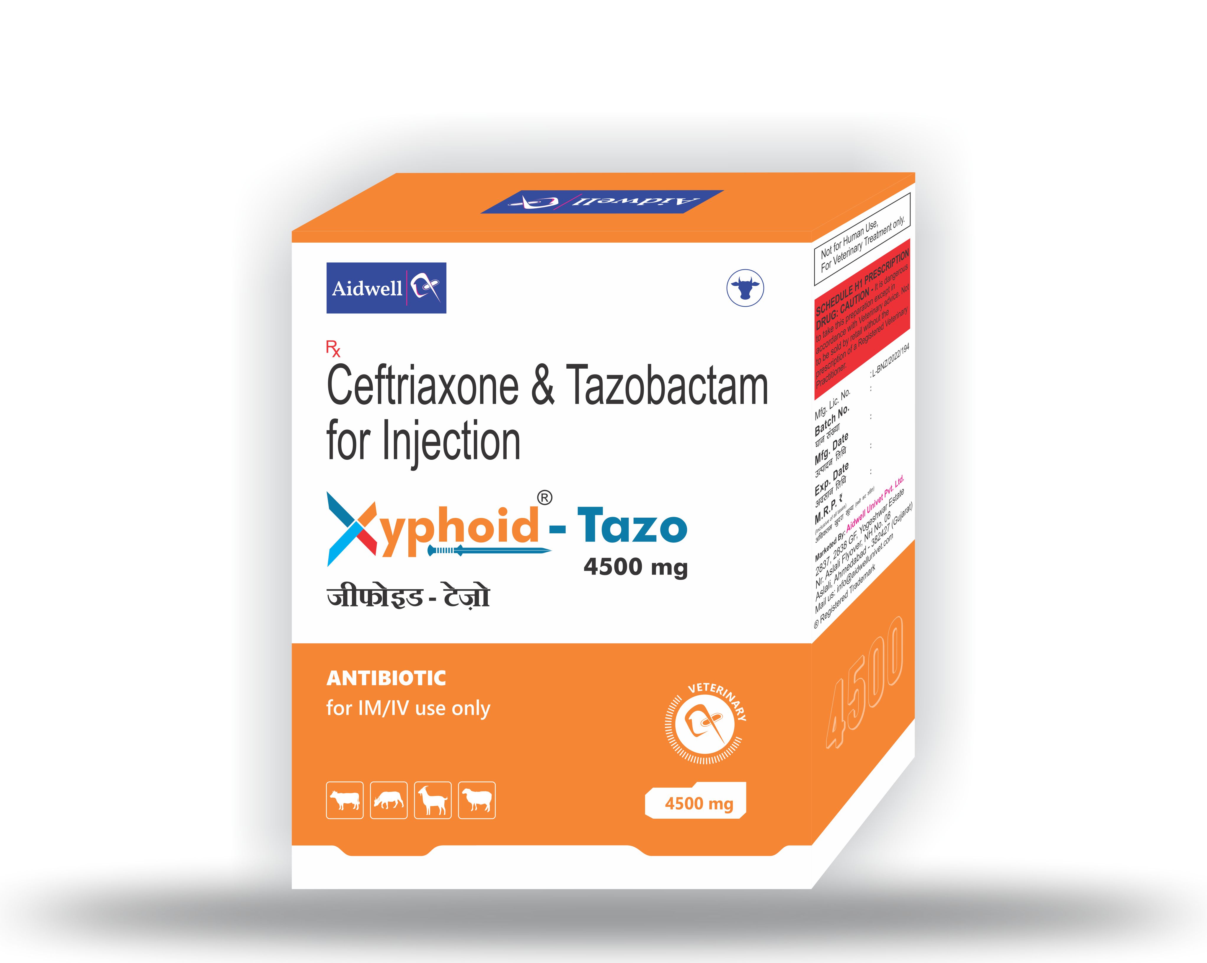 measurement measurement